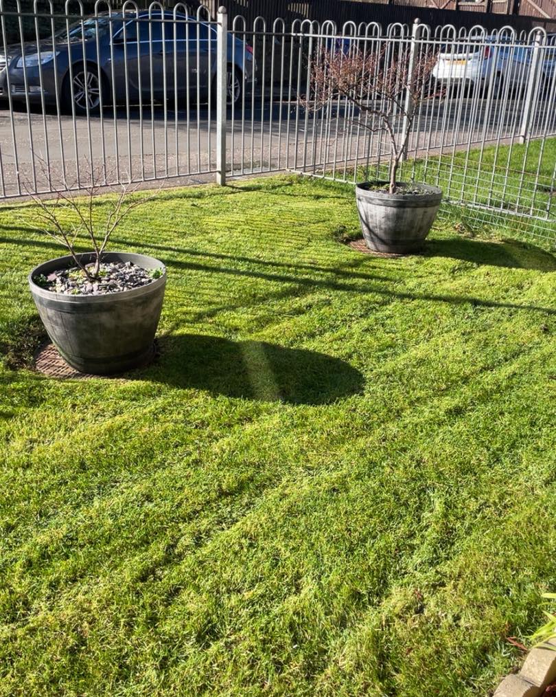 Grass cutting work example